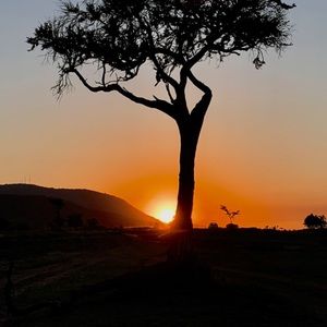 Meet your Posher, Noah